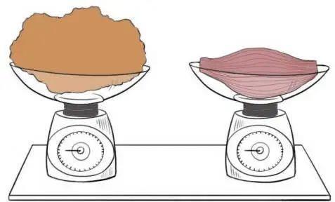 体脂的？数据准确吗？一起来了解pg电子平台体脂秤是怎么测出(图2)
