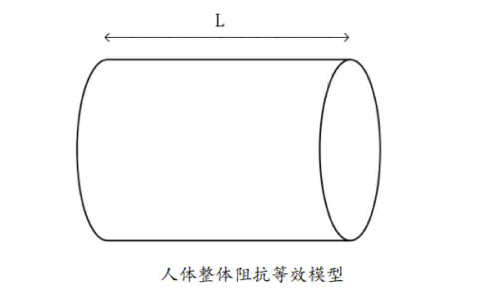 体脂的？数据准确吗？一起来了解pg电子平台体脂秤是怎么测出(图5)